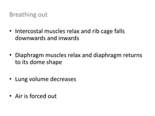 Breathing out
• Intercostal muscles relax and rib cage falls
downwards and inwards
• Diaphragm muscles relax and diaphragm returns
to its dome shape
• Lung volume decreases
• Air is forced out
 