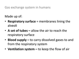 Gas exchange system in humans
Made up of:
• Respiratory surface = membranes lining the
alveoli
• A set of tubes – allow the air to reach the
respiratory surface
• Blood supply – to carry dissolved gases to and
from the respiratory system
• Ventilation system – to keep the flow of air
 