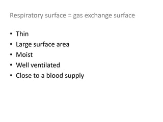 Respiratory surface = gas exchange surface
• Thin
• Large surface area
• Moist
• Well ventilated
• Close to a blood supply
 