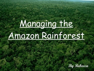 Managing the Amazon Rainforest By Rebecca 