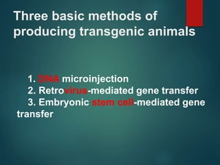 Three basic methods of
producing transgenic animals
1. DNA microinjection
2. Retrovirus-mediated gene transfer
3. Embryonic stem cell-mediated gene
transfer
 