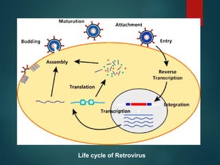 Life cycle of Retrovirus
 