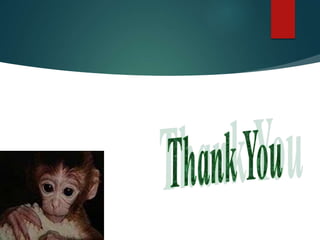 Genetically Modified Organisms 01