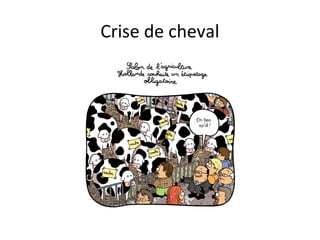 Crise de cheval
 