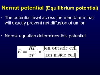 Nernst potential (Equilibrium potential)
• The potential level across the membrane that
will exactly prevent net diffusion of an ion
• Nernst equation determines this potential
 
