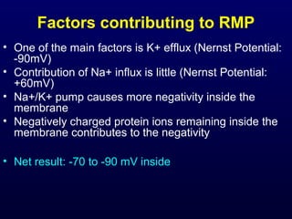 Factors contributing to RMP
• One of the main factors is K+ efflux (Nernst Potential:
-90mV)
• Contribution of Na+ influx is little (Nernst Potential:
+60mV)
• Na+/K+ pump causes more negativity inside the
membrane
• Negatively charged protein ions remaining inside the
membrane contributes to the negativity
• Net result: -70 to -90 mV inside
 