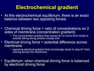 Electrochemical gradient
• At this electrochemical equilibrium, there is an exact
balance between two opposing forces:
• Chemical driving force = ratio of concentrations on 2
sides of membrane (concentration gradient)
• The concentration gradient that causes K+ to move from inside to
outside taking along positive charge and
• Electrical driving force = potential difference across
membrane
• opposing electrical gradient that increasingly tends to stop K+ from
moving across the membrane
• Equilibrium: when chemical driving force is balanced
by electrical driving force
 