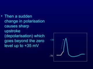 • Then a sudden
change in polarisation
causes sharp
upstroke
(depolarisation) which
goes beyond the zero
level up to +35 mV
-70
+30
 