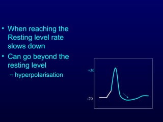 • When reaching the
Resting level rate
slows down
• Can go beyond the
resting level
– hyperpolarisation
-70
+30
 