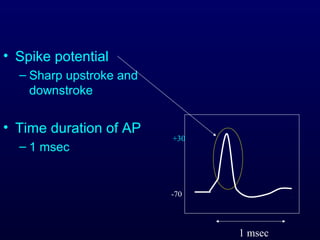• Spike potential
– Sharp upstroke and
downstroke
• Time duration of AP
– 1 msec
-70
+30
1 msec
 