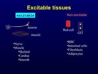 Excitable tissues
excitable Non-excitable
Red cell
GIT
neuron
muscle
•RBC
•Intestinal cells
•Fibroblasts
•Adipocytes
•Nerve
•Muscle
•Skeletal
•Cardiac
•Smooth
 