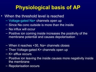 Physiological basis of AP
• When the threshold level is reached
– Voltage-gated Na+ channels open up
– Since Na conc outside is more than the inside
– Na influx will occur
– Positive ion coming inside increases the positivity of the
membrane potential and causes depolarisation
– When it reaches +30, Na+ channels closes
– Then Voltage-gated K+ channels open up
– K+ efflux occurs
– Positive ion leaving the inside causes more negativity inside
the membrane
– Repolarisation occurs
 
