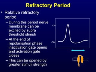 Refractory Period
• Relative refractory
period
– During this period nerve
membrane can be
excited by supra
threshold stimuli
– At the end of
repolarisation phase
inactivation gate opens
and activation gate
closes
– This can be opened by
greater stimuli strength
-70
+30
outside
inside
 
