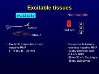 Excitable tissues
• Excitable tissues have more
negative RMP
( - 70 mV to - 90 mV)
excitable Non-excitable
Red cell
GIT
neuron
muscle
• Non-excitable tissues
have less negative RMP
-53 mV epithelial cells
-8.4 mV RBC
-20 to -30 mV fibroblasts
-58 mV adipocytes
 
