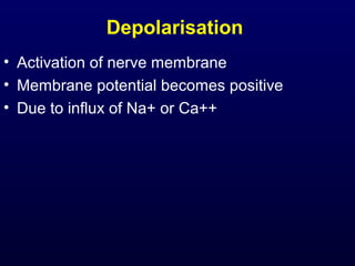 Depolarisation
• Activation of nerve membrane
• Membrane potential becomes positive
• Due to influx of Na+ or Ca++
 