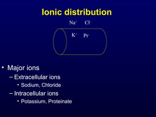 Ionic distribution
• Major ions
– Extracellular ions
• Sodium, Chloride
– Intracellular ions
• Potassium, Proteinate
K+
Pr-
Na+
Cl-
 
