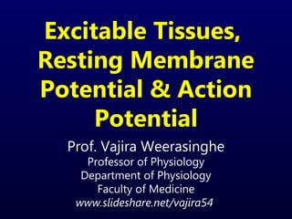 Excitable Tissues,
Resting Membrane
Potential & Action
Potential
Prof. Vajira Weerasinghe
Professor of Physiology
Department of Physiology
Faculty of Medicine
www.slideshare.net/vajira54
 
