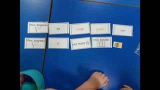 Year 2: Flag descriptions