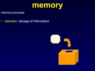 memory memory process retention : storage of information 