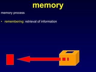 memory memory process remembering : retrieval of information 