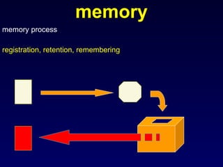 memory memory process registration, retention, remembering 