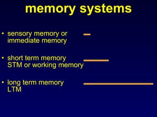 memory systems sensory memory or immediate memory short term memory STM or working memory long term memory LTM 