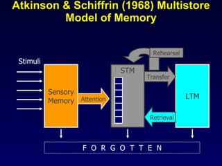Atkinson & Schiffrin (1968) Multistore Model of Memory Sensory Memory LTM STM Stimuli Attention Transfer Retrieval Rehearsal F  O  R  G  O  T  T  E  N 