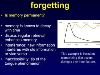 forgetting Is memory permanent? memory is known to decay with time disuse: regular retrieval enhances memory interference: new information interferes with old information or vice versa inaccessibility: tip of the tongue phenomenon This example is based on memorizing that occurs during a one-hour lecture.  