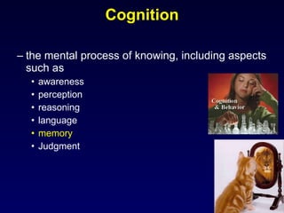 Cognition the mental process of knowing, including aspects such as  awareness  perception  reasoning  language  memory Judgment 
