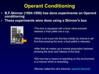 Operant Conditioning B.F.Skinner (1904-1990) has done experiments on Operant conditioning These experiments were done using a Skinner's box This box is equipped with a lever when pressed releases a food pellet into a cup When a rat is put into this box initially by chance it will find that pressing the lever a food pellet is released.  After that rat makes up a mental association between pressing the lever and release of the food.  Rat now has a means of operating on the environment in a manner which is rewarding. Skinner called this rat's behavior:  operant behavior 