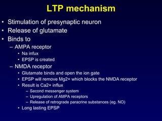 LTP mechanism Stimulation of presynaptic neuron Release of glutamate Binds to  AMPA receptor Na infux EPSP is created  NMDA receptor  Glutamate binds and open the ion gate EPSP will remove Mg2+ which blocks the NMDA receptor  Result is Ca2+ influx Second messenger system Upregulation of AMPA receptors  Release of retrograde paracrine substances (eg. NO) Long lasting EPSP 