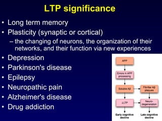 LTP significance  Long term memory  Plasticity (synaptic or cortical) the changing of neurons, the organization of their networks, and their function via new experiences Depression Parkinson's disease Epilepsy Neuropathic pain Alzheimer's disease  Drug addiction 