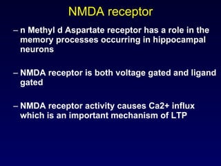 NMDA receptor n Methyl d Aspartate receptor has a role in the memory processes occurring in hippocampal neurons NMDA receptor is both voltage gated and ligand gated NMDA receptor activity causes Ca2+ influx which is an important mechanism of LTP 