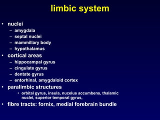 limbic system nuclei amygdala septal nuclei mammillary body hypothalamus cortical areas hippocampal gyrus cingulate gyrus dentate gyrus entorhinal, amygdaloid cortex paralimbic structures orbital gyrus, insula, nucelus accumbens, thalamic nuclei, superior temporal gyrus,  fibre tracts: fornix, medial forebrain bundle  