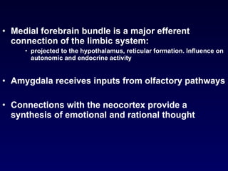 Medial forebrain bundle is a major efferent connection of the limbic system:  projected to the hypothalamus, reticular formation. Influence on autonomic and endocrine activity Amygdala receives inputs from olfactory pathways Connections with the neocortex provide a synthesis of emotional and rational thought 