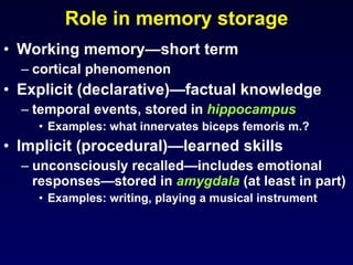 Role in memory storage Working memory—short term  cortical phenomenon Explicit (declarative)—factual knowledge temporal events, stored in  hippocampus Examples: what innervates biceps femoris m.? Implicit (procedural)—learned skills unconsciously recalled—includes emotional responses—stored in  amygdala   (at least in part) Examples: writing, playing a musical instrument 