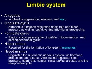 Limbic system Amygdala Involved in aggression, jealousy, and  fear ;  Cingulate gyrus Autonomic functions regulating heart rate and blood pressure as well as cognitive and attentional processing;  Fornicate gyrus Region encompassing the cingulate , hippocampus , and parahippocampal gyrus;  Hippocampus Required for the formation of long-term  memories ;  Hypothalamus Regulates the autonomic nervous system via hormone production and release. Affects and regulates blood pressure, heart rate, hunger, thirst, sexual arousal, and the sleep/wake cycle;  