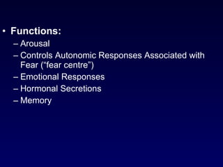 Functions:   Arousal  Controls Autonomic Responses Associated with Fear (“fear centre”) Emotional Responses  Hormonal Secretions  Memory 