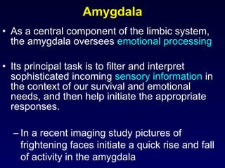 Amygdala As a central component of the limbic system, the amygdala oversees  emotional processing Its principal task is to filter and interpret sophisticated incoming  sensory information  in the context of our survival and emotional needs, and then help initiate the appropriate responses. In a recent imaging study pictures of frightening faces initiate a quick rise and fall of activity in the amygdala  