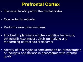 Prefrontal Cortex  The most frontal part of the frontal cortex Connected to reticular  Performs executive functions  Involved in planning complex cognitive behaviors, personality expression, decision making and moderating correct social behavior Activity of this region is considered to be orchestration of thoughts and actions in accordance with internal goals 