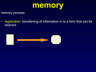 memory memory process registration : transferring of information in to a form that can be retained 