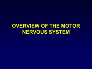 OVERVIEW OF THE MOTOR
NERVOUS SYSTEM
 