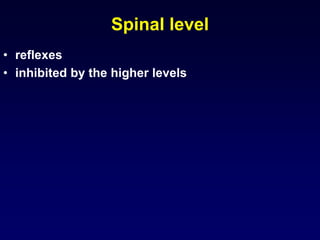 Spinal level
• reflexes
• inhibited by the higher levels
 
