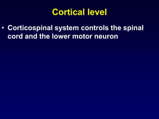Cortical level
• Corticospinal system controls the spinal
cord and the lower motor neuron
 