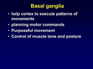 Basal ganglia
• help cortex to execute patterns of
movements
• planning motor commands
• Purposeful movement
• Control of muscle tone and posture
 