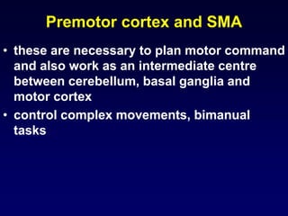 Premotor cortex and SMA
• these are necessary to plan motor command
and also work as an intermediate centre
between cerebellum, basal ganglia and
motor cortex
• control complex movements, bimanual
tasks
 