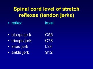 • reflex level
• biceps jerk C56
• triceps jerk C78
• knee jerk L34
• ankle jerk S12
Spinal cord level of stretch
reflexes (tendon jerks)
 
