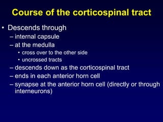 Course of the corticospinal tract
• Descends through
– internal capsule
– at the medulla
• cross over to the other side
• uncrossed tracts
– descends down as the corticospinal tract
– ends in each anterior horn cell
– synapse at the anterior horn cell (directly or through
interneurons)
 