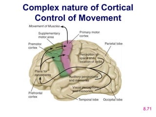 Complex nature of Cortical
Control of Movement
8.71
 