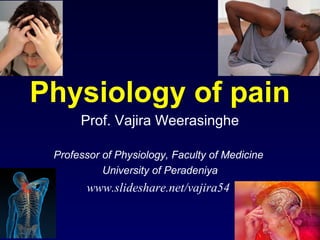 Physiology of pain
      Prof. Vajira Weerasinghe

 Professor of Physiology, Faculty of Medicine
           University of Peradeniya
       www.slideshare.net/vajira54
 